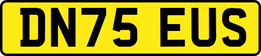 DN75EUS