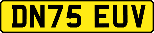 DN75EUV