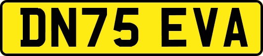 DN75EVA