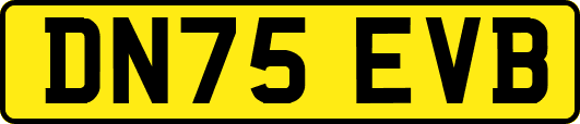 DN75EVB