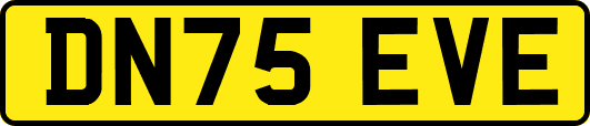DN75EVE