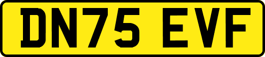 DN75EVF