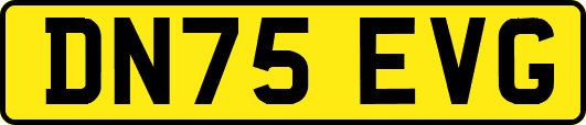 DN75EVG