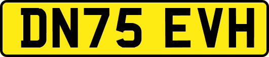 DN75EVH