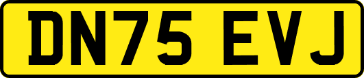 DN75EVJ