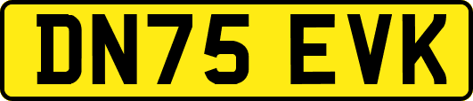 DN75EVK