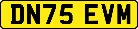 DN75EVM