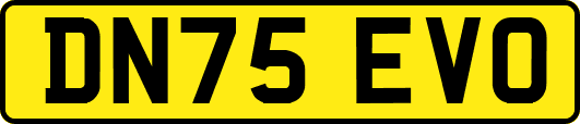 DN75EVO