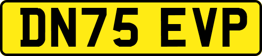 DN75EVP
