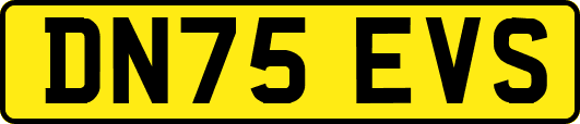 DN75EVS