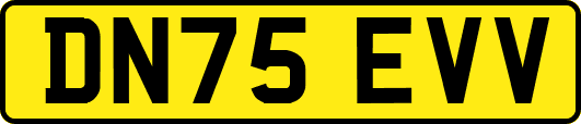 DN75EVV