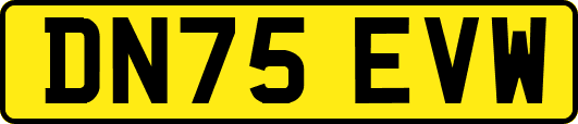 DN75EVW