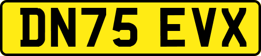 DN75EVX