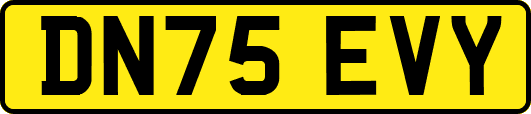 DN75EVY