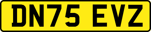 DN75EVZ