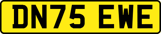 DN75EWE