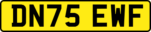 DN75EWF