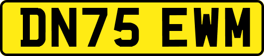 DN75EWM