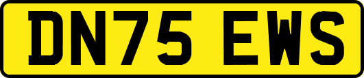 DN75EWS