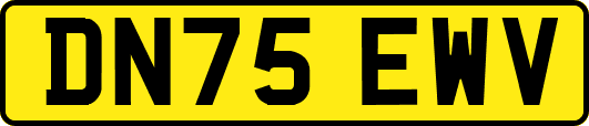 DN75EWV