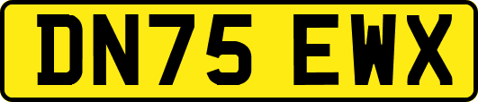 DN75EWX