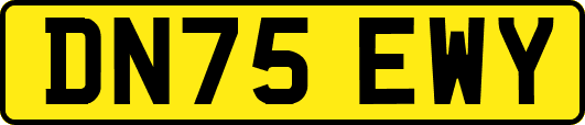 DN75EWY