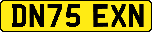DN75EXN
