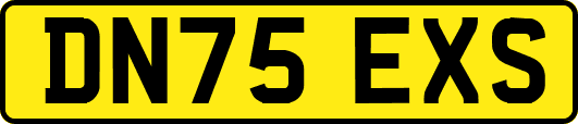 DN75EXS