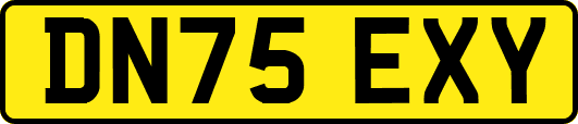 DN75EXY
