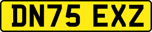 DN75EXZ