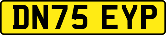DN75EYP