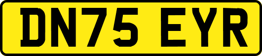DN75EYR