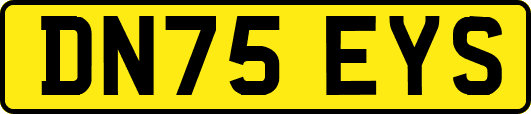 DN75EYS