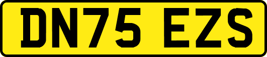 DN75EZS