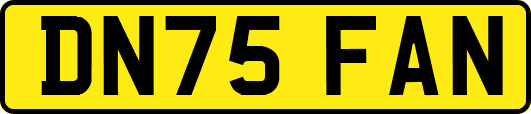 DN75FAN