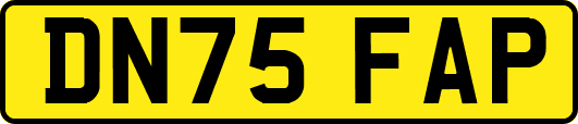 DN75FAP
