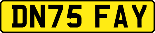 DN75FAY