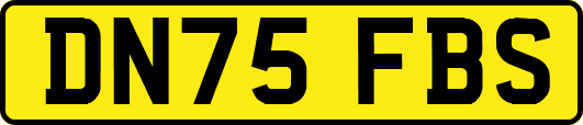 DN75FBS