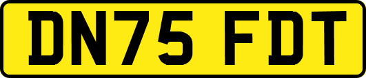 DN75FDT