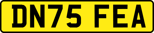 DN75FEA