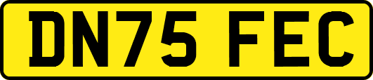 DN75FEC