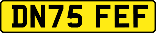 DN75FEF