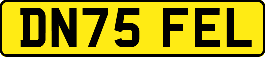 DN75FEL