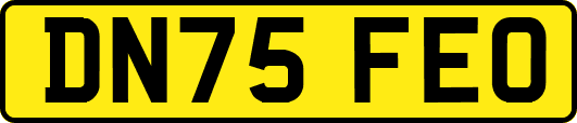 DN75FEO