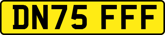 DN75FFF