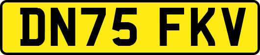 DN75FKV