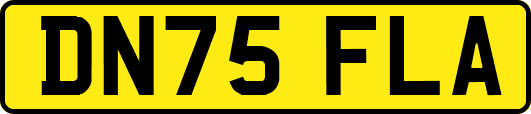 DN75FLA