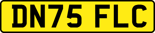DN75FLC