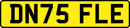 DN75FLE