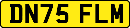 DN75FLM